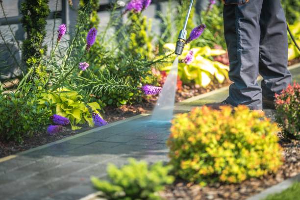Best Dumpster Area Cleaning  in Hotchkiss, CO